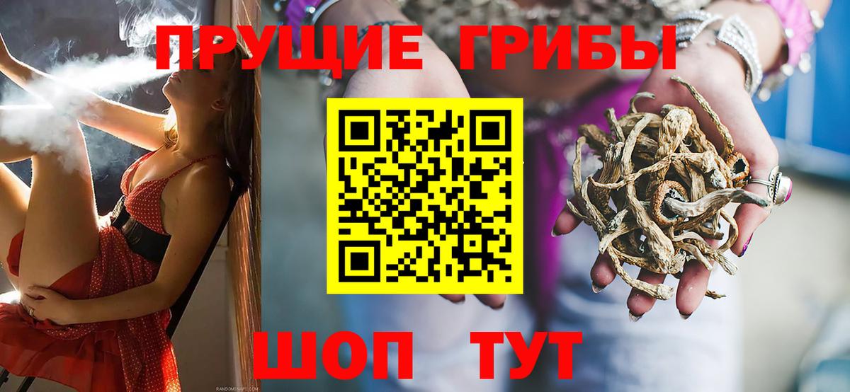 Железногорск  Псилоцибиновые грибы Psilocybine cubensis  Вход с VPN  Галлюциногенные грибы Psilocybine cubensis 