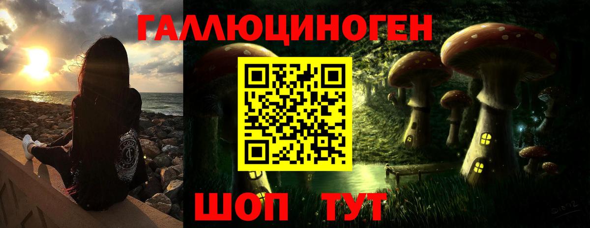 Псилоцибиновые грибы GOLDEN TEACHER Железногорск